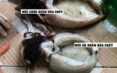 Chuyển động 24h lật tẩy "công nghệ" tẩy trắng mực thối bằng hóa chất