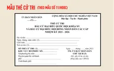 [Infographic] Thẻ cử tri - “tấm vé” để thực hiện quyền bầu cử