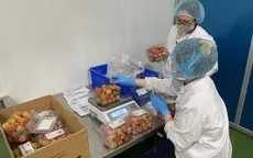 Sàn thương mại điện tử - Kênh tiêu thụ mới cho nông sản