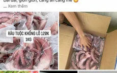 Râu bạch tuộc Nhật Bản giá siêu rẻ được bán đầy chợ mạng
