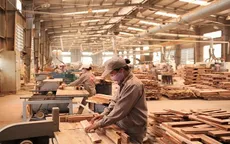 Kiểm soát nhập khẩu tủ bếp, tủ nhà tắm, tránh "ve sầu thoát xác"