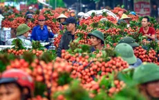 Siêu thị tăng bán vải thiều