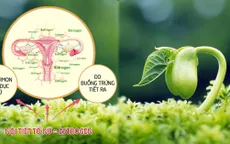 Chuyên gia cảnh báo tình trạng rối loạn nội tiết tố nữ bị trẻ hóa