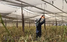 Tu nghiệp sinh Việt Nam tại Israel lần đầu tiên phải sống trong môi trường chiến tranh