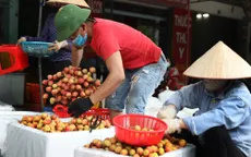 Ưu tiên cấp C/O cho nông sản xuất khẩu