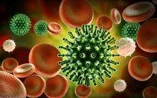 8 biến thể của virus SARS-CoV-2 ghi nhận tại Việt Nam