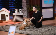 Shark Tank Việt Nam: Kỹ sư phần mềm 10 năm ở Mỹ gọi vốn cho camera theo dõi thú cưng
