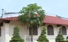 Kiến trúc Huế giữa lòng Nam bộ