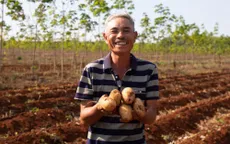 Nông dân vui mừng vỡ òa với vụ khoai tây được mùa
