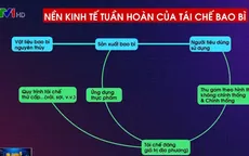 Kinh tế tuần hoàn: Cuộc chiến dài hơi, cần sự nỗ lực của nhiều bên