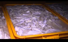 Bà Rịa - Vũng Tàu: Phát hiện cơ sở dùng hóa chất chế biến hải sản