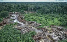 Rừng Amazon tại Brazil bị tàn phá hơn 580 km2