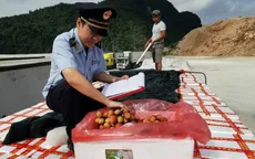 Ưu tiên xuất khẩu nông sản qua cửa khẩu Lạng Sơn
