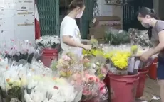 TP. HCM chia sẻ với người trồng hoa Lâm Đồng