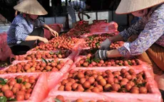 Tạo cơ chế hợp tác giữa các bên thúc đẩy tiêu thụ nông sản