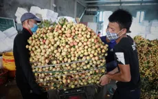 Tiêu thụ nông sản trên nền tảng số: Để không còn phải “giải cứu”