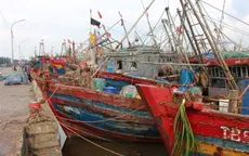 Các địa phương chủ động phòng, chống bão số 2