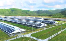 Tổ hợp trang trại bò sữa của Vinamilk tại Lào dự kiến đi vào hoạt động vào quý I/2022