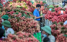 Việt Nam xuất 2,5 triệu tấn trái cây tươi sang Trung Quốc