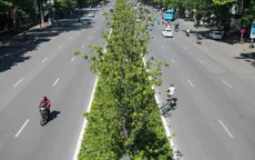 Hà Nội đánh chuyển hàng phong lá đỏ