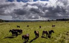 Nga hứng chịu đợt nắng nóng khốc liệt chưa từng có trong 120 năm qua