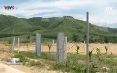 Ồ ạt san ủi, phân lô đất nền trái phép