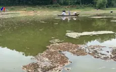 Mảng bám nổi lềnh phềnh kèm mùi hôi thối tại Hồ Núi Cốc