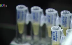 Tình hình nghiên cứu vaccine phòng COVID-19 tại Việt Nam