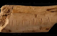 Bằng chứng sốc về một loài người khác từng thông minh vượt chúng ta