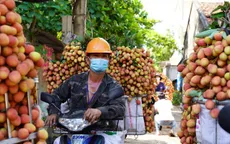 Bắc Giang thay đổi cách tiêu thụ vải thiều