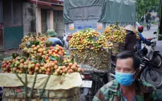 Bắc Giang tổ chức hội nghị trực tuyến tiêu thụ vải thiều