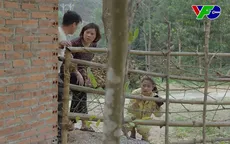 Mùa hoa tìm lại - Tập 8: Ông bà Vui Vải thuê người diễn trận giả để "gãi" tiền bà nội