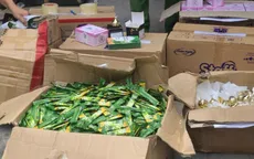 Triệt phá cơ sở sản xuất mỹ phẩm giả các nhãn hiệu nổi tiếng