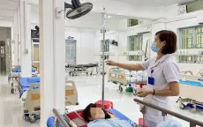 Cảnh giác bệnh viêm não Nhật Bản vào mùa cao điểm