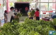 Liên tục các chuyến hàng hóa thiết yếu từ mọi miền Tổ quốc chở về TP Hồ Chí Minh