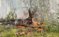 Siberia đối mặt với cháy rừng sau tháng 6 khô nóng  nhất trong 133 năm qua