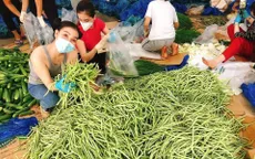 Chung tay cùng dân, ca sĩ Minh Quân – Á hậu Thanh Tuyền phát rau củ đến tận khu phong tỏa