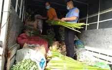 Lập trạm trung chuyển chợ đầu mối để gỡ vướng cho nông sản