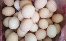 Trứng gà tăng giá gấp đôi vẫn "cháy" hàng