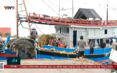 Giải quyết tiêu thụ hải sản khi cảng cá lớn nhất nam trung bộ bị phong tỏa