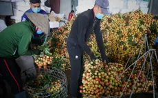 Bắc Giang thắng lớn vụ vải thiều năm 2021