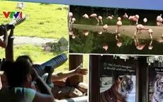 Trải nghiệm vườn thú lớn nhất nước Mỹ