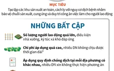 [INFOGRAPHIC] Doanh nghiệp kiến nghị giải pháp khi sản xuất "3 tại chỗ" gặp khó