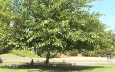 Nhiệt độ tại châu Âu sẽ có lúc vượt ngưỡng 50 độ C