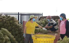 Nông sản Cần Thơ trước vận hội mới