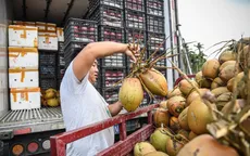 Người dân đổ xô mua nước dừa, Trung Quốc tăng nhập khẩu