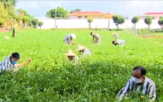 Lần đầu tiên thực hiện đặc xá sau 4 năm