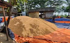 Bà Rịa - Vũng Tàu: Lợi dụng dịch bệnh, tài xế lấy trộm hơn 50 tấn bắp hạt mang đi bán