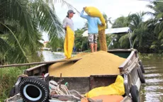 Khơi thông “luồng xanh” đường thủy để tiêu thụ nông sản