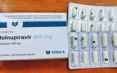 300.000 liều thuốc Molnupiravir được phẩn bổ cho các địa phương điều trị F0 thể nhẹ tại cộng đồng